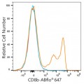 ABflo® 647 Rabbit anti-Human CD8b mAb (100 T)