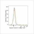 ABflo® 647 Rabbit anti-Human Nectin-1/CD111 mAb (100 T)