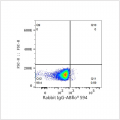 ABflo® 594 Rabbit anti-Human Nectin-1/CD111 mAb (100 T)