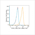 PVRL1/NECTIN1 Rabbit mAb (100 μL)