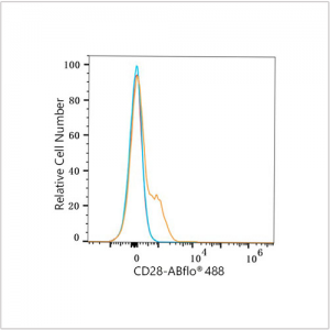 ABflo® 488 Rabbit anti-Mouse CD28 mAb (100 T)