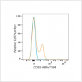 ABflo® 594 Rabbit anti-Mouse CD28 mAb (100 T)