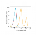 ABflo® 647 Rabbit anti-Human CD39/ENTPD1 mAb (100 T)