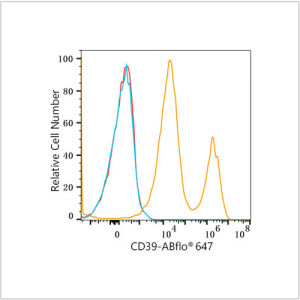 ABflo® 647 Rabbit anti-Human CD39/ENTPD1 mAb (100 T)