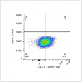 ABflo® 647 Rabbit anti-Human CD131 mAb (100 T)