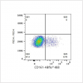 ABflo® 488 Rabbit anti-Human CD161 mAb (100 T)