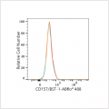 ABflo® 488 Rabbit anti-Human CD157/BST-1 mAb (100 T)