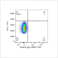 ABflo® 647 Rabbit anti-Human CD157/BST-1 mAb (100 T)