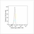 ABflo® 594 Rabbit anti-Human CD157/BST-1 mAb (100 T)