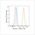 ABflo® 594 Rabbit anti-Human Galectin 3 mAb (100 T)