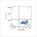 PE Rabbit anti-Mouse CD19 mAb (100 T)