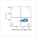 ABflo® 488 Rabbit anti-Human CD301/CLEC10A mAb (100 T)