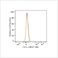 ABflo® 488 Rabbit anti-Human CD1c mAb (100 T)