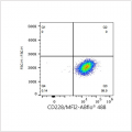 ABflo® 488 Rabbit anti-Human CD228/MFI2 mAb (100 T)
