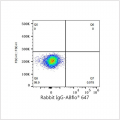 ABflo® 647 Rabbit anti-Human CD228/MFI2 mAb (100 T)