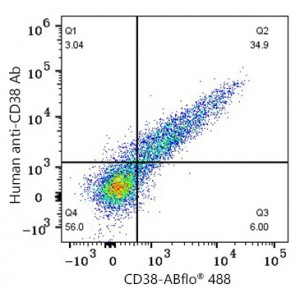 ABflo® 488 Rabbit anti-Human CD38 PolymAb® (100 T)