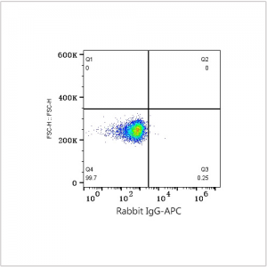APC Rabbit anti-Human Neuropilin-2/NRP2 mAb (100 T)