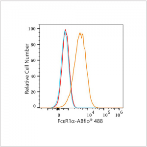 ABflo® 488 Rabbit anti-Human FcεR1α mAb (100 T)