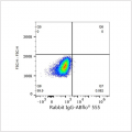 ABflo® 555 Rabbit anti-Human CD45 mAb (100 T)