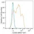 ABflo® 647 Rabbit anti-Human CD38 mAb (100 T)
