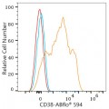ABflo® 594 Rabbit anti-Human CD38 mAb (100 T)