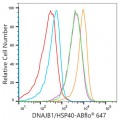 ABflo® 647 Rabbit anti-Human DNAJB1/HSP40 mAb (100 T)