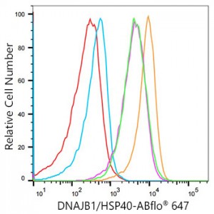 ABflo® 647 Rabbit anti-Human DNAJB1/HSP40 mAb (100 T)