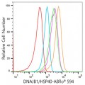 ABflo® 594 Rabbit anti-Human DNAJB1/HSP40 mAb (100 T)