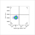 ABflo® 647 Rabbit anti-Human CD46 mAb (100 T)