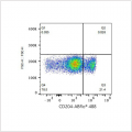 ABflo® 488 Rabbit anti-Human CD204 mAb (100 T)