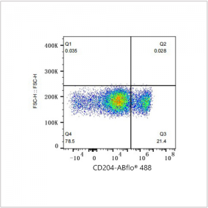 ABflo® 488 Rabbit anti-Human CD204 mAb (100 T)