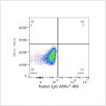 ABflo® 488 Rabbit anti-Human CD138 mAb (100 T)