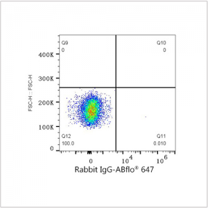 ABflo® 647 Rabbit anti-Human CD138 mAb (100 T)