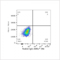 ABflo® 594 Rabbit anti-Human CD138 mAb (100 T)