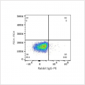 PE Rabbit anti-Human CD45 mAb (100 T)