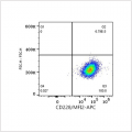 APC Rabbit anti-Human CD228/MFI2 mAb (100 T)