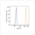 PE Rabbit anti-Human EGFR mAb (100 T)