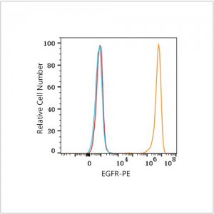 PE Rabbit anti-Human EGFR mAb (100 T)