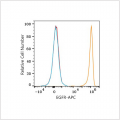 APC Rabbit anti-Human EGFR mAb (100 T)