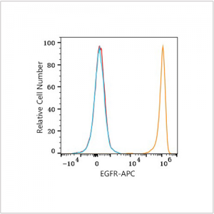 APC Rabbit anti-Human EGFR mAb (100 T)