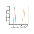 ABflo® 594 Rabbit anti-Human CD50(ICAM-3) mAb (100 T)