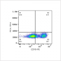 PE Rabbit anti-Human CD10 mAb (100 T)