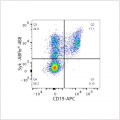 ABflo® 488 Rabbit anti-Human Syk mAb (100 T)