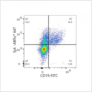 ABflo® 647 Rabbit anti-Human Syk mAb (100 T)