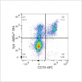 ABflo® 594 Rabbit anti-Human Syk mAb (100 T)