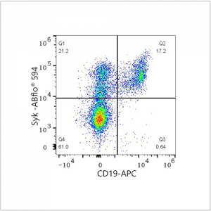 ABflo® 594 Rabbit anti-Human Syk mAb (100 T)