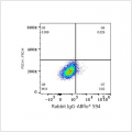 ABflo® 594 Rabbit anti-Human CD300a mAb (100 T)
