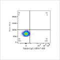 ABflo® 488 Rabbit anti-Mouse CD48 mAb (100 T)