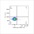 ABflo® 647 Rabbit anti-Mouse CD48 mAb (100 T)