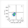 ABflo® 488 Rabbit anti-Human CD172b mAb (100 T)